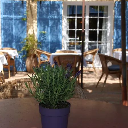 Des Glycines Porquerolles